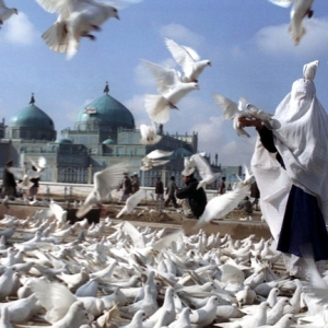 A woman in a white burqa feeds pigeons after paying respect to Imam Ali at his resting place in Mazar-e Sharif. The white burqa is widely used in that region. Photo by Farzana Wahidy