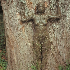 Tree of life 1976 by Anna Mendieta