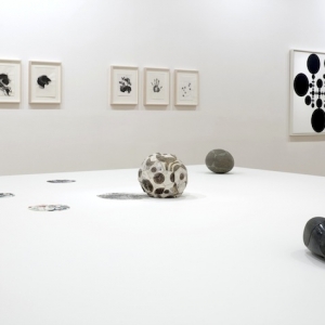 Gabriel Orozco, Installation view of Thinking in Circles at The Fruitmarket Gallery, 2013